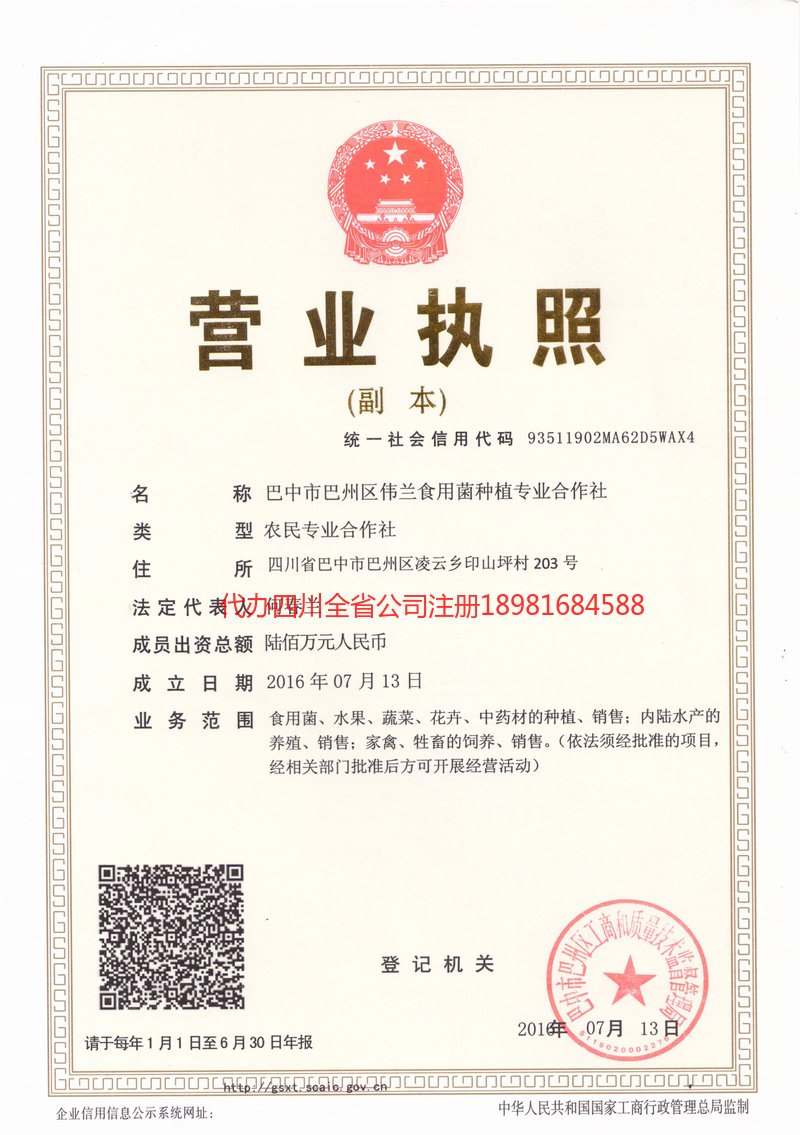 营山营山伟兰食用菌种植专业合作社